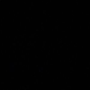 Meet your Posher, Kylah